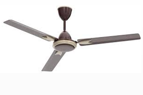 Case-Study-Manufacturer-Ceiling-Fans-India